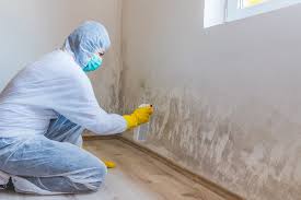 Why You Should Choose Our Mold Remediation Services in Louisville, CO